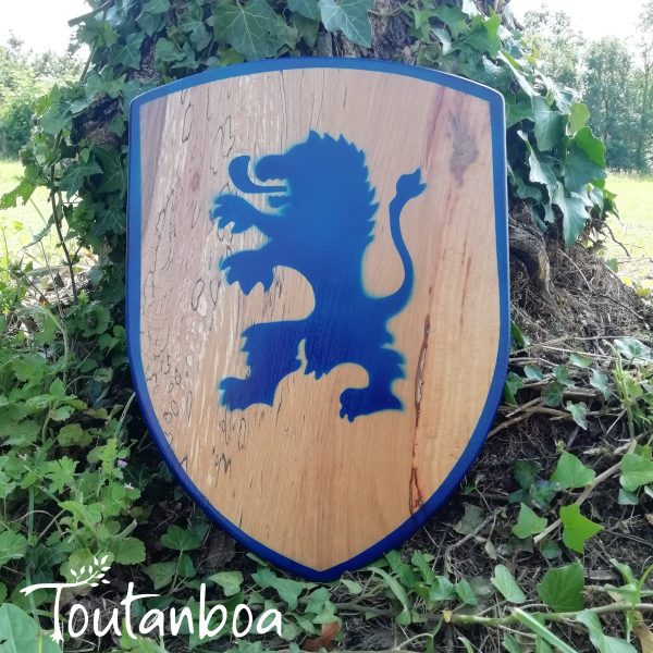 Bouclier de chevalier