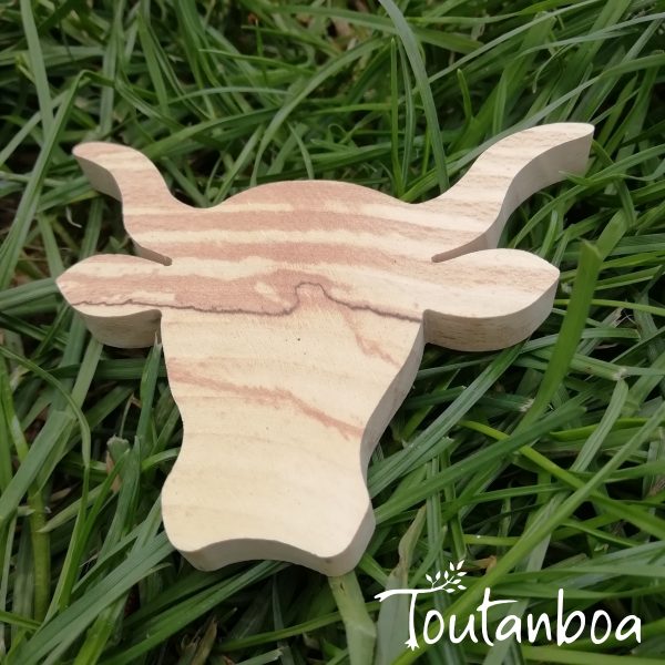 Magnet Vache Salers